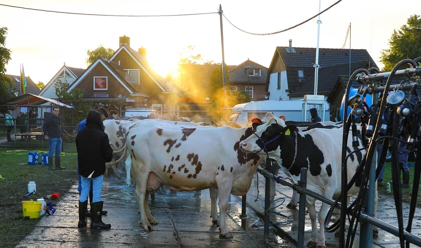 • Fokveedag Boerenlandfeest 2022.