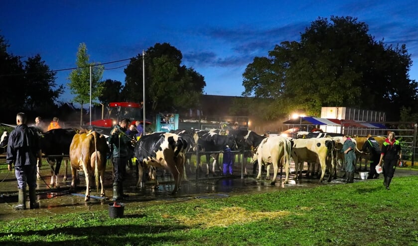 • Fokveedag Boerenlandfeest 2022.