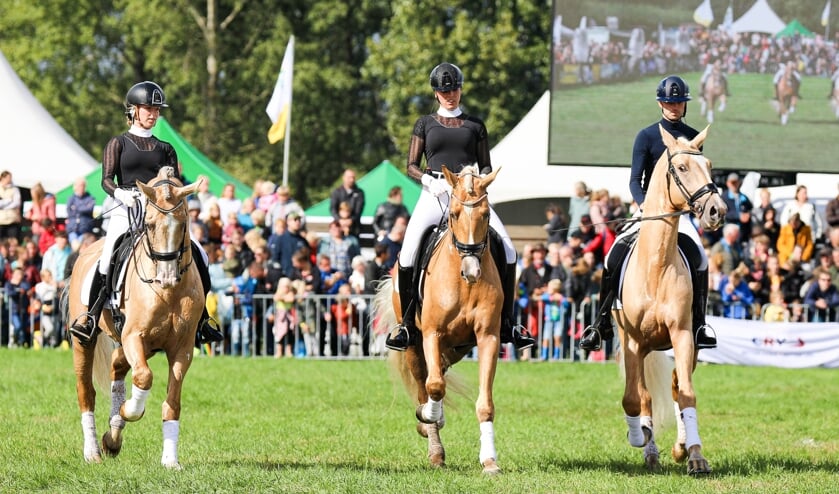 • Fokveedag Boerenlandfeest 2022.