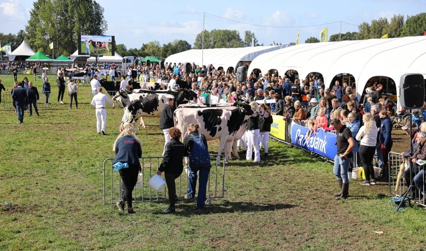 • Fokveedag Boerenlandfeest 2022.