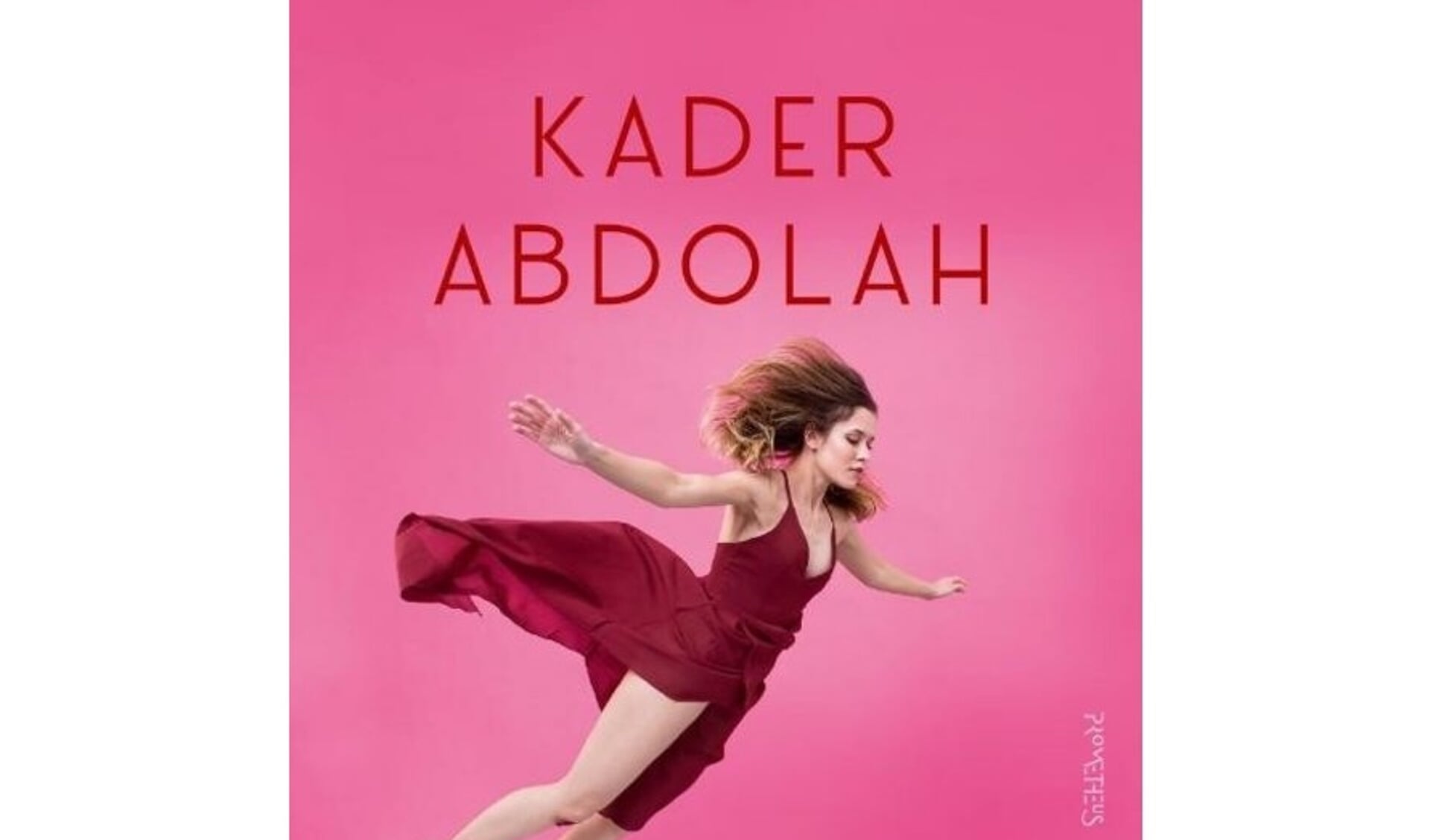 • De cover van het boek van Kader Abdolah.
