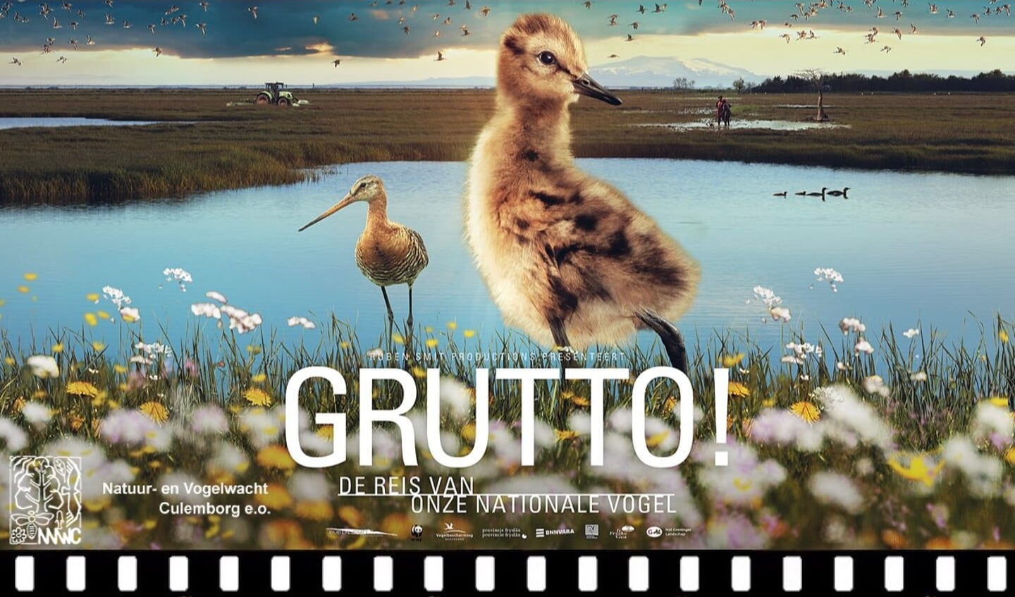 De Fransche School ism NVWC: FILM Grutto! De reis van onze nationale vogel | 6+
