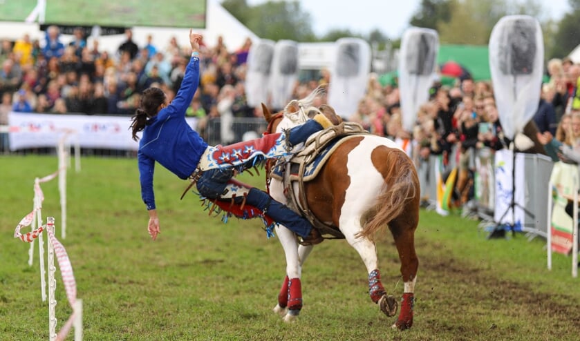 • Fokveedag Boerenlandfeest 2022.