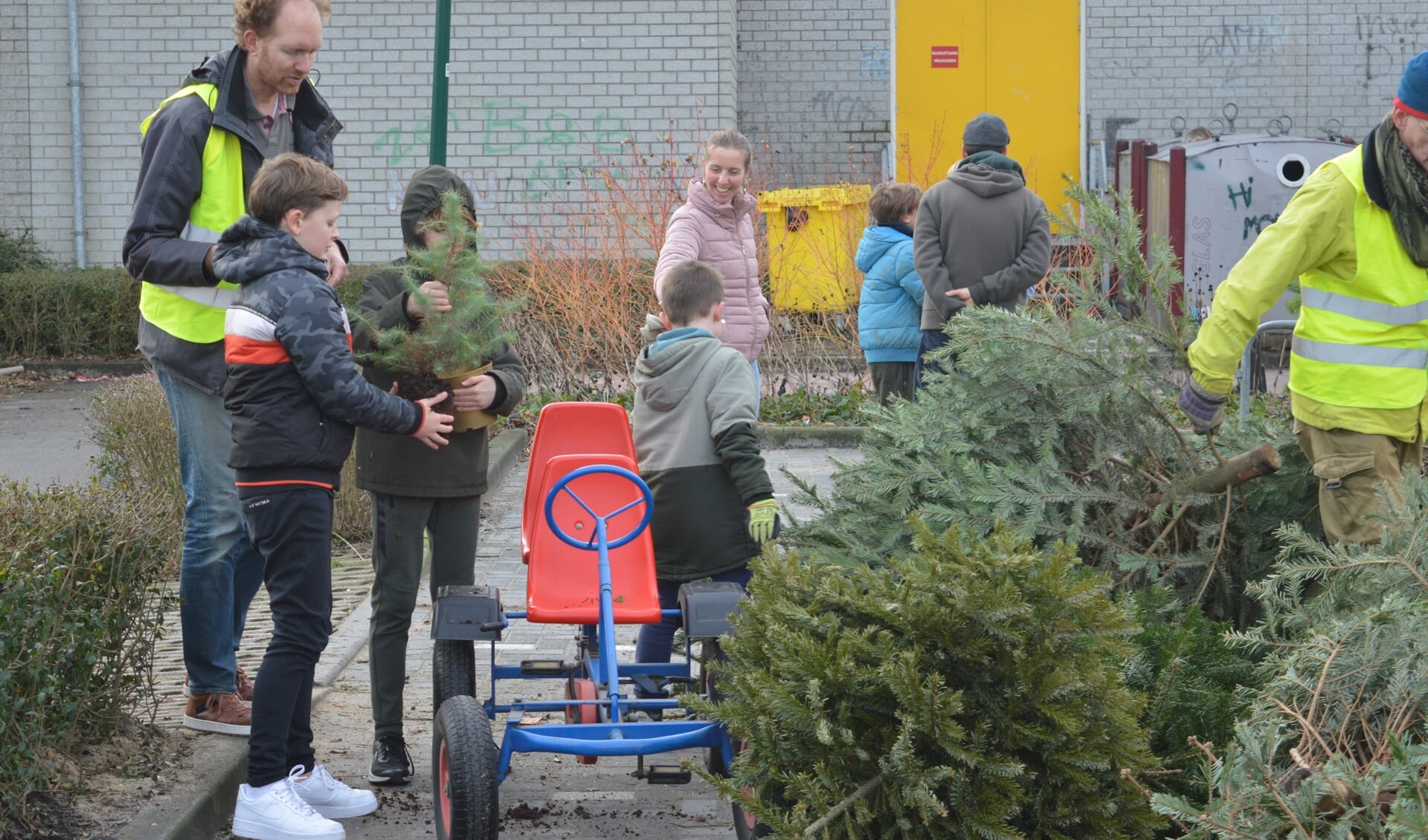 • Kerstbomen inleveren bij De Vaart in Linschoten.
