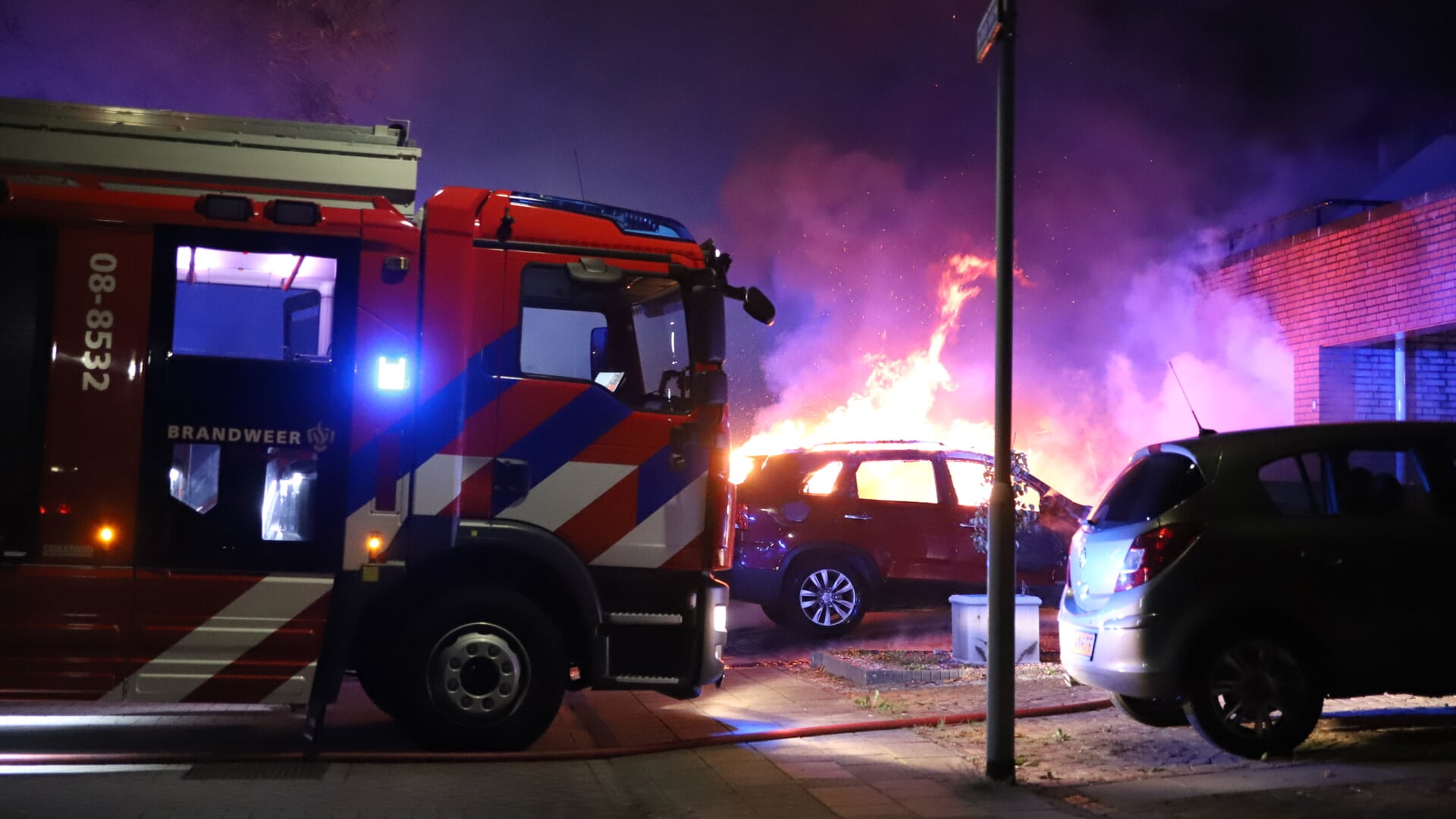 Steenmarter Veroorzaakt Autobrand Op Oprit Tielse Woning | Al Het ...