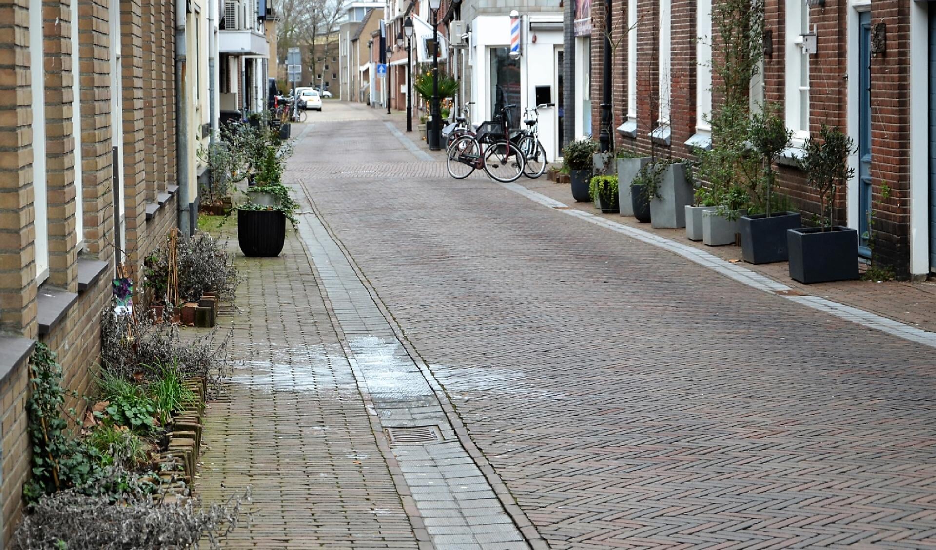 • De geveltuintjes in de Bergstraat in Leerdam.