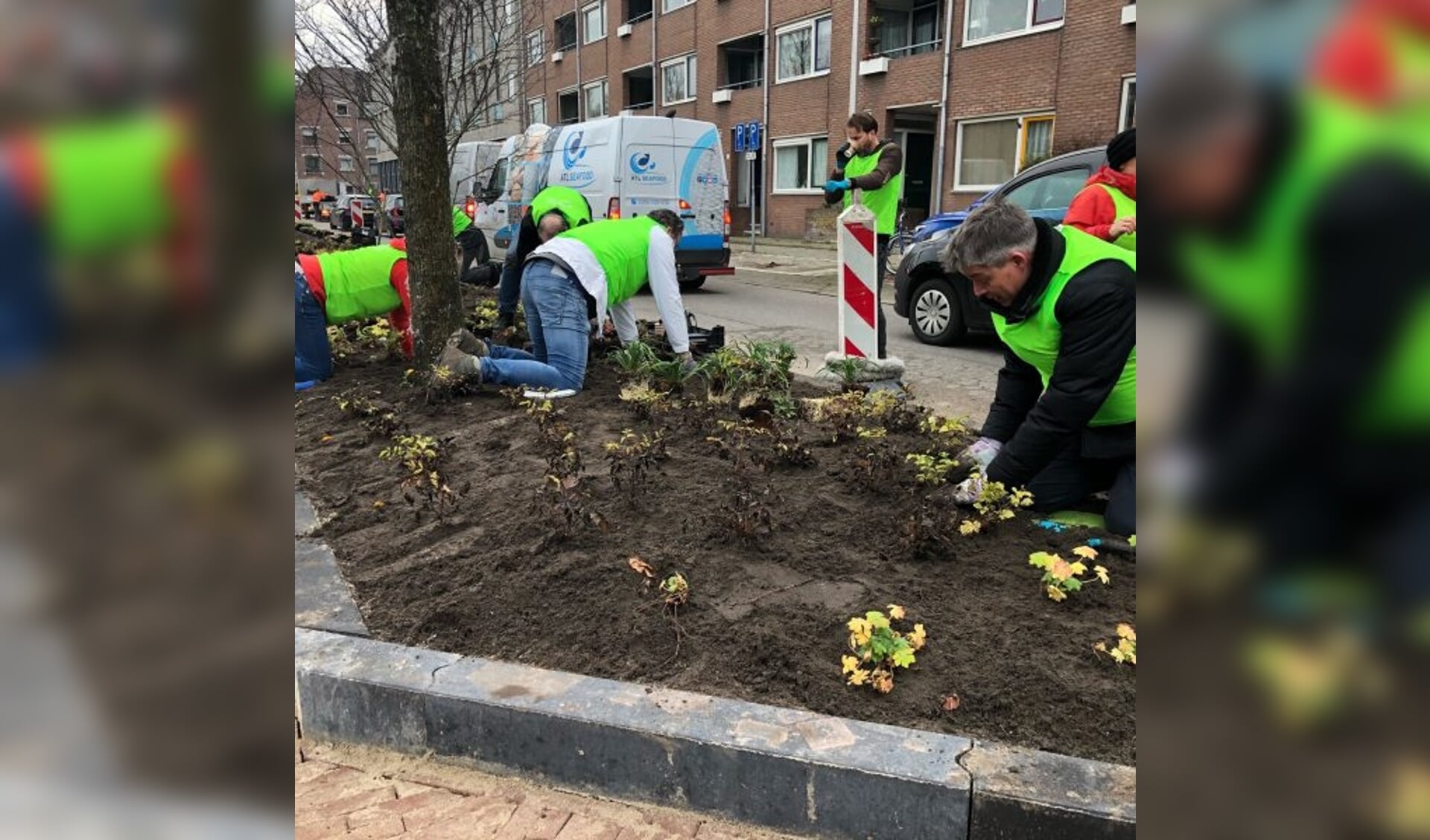 Goudse bewoners planten groen.