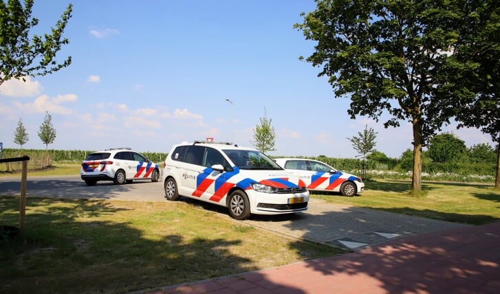 Afbeelding