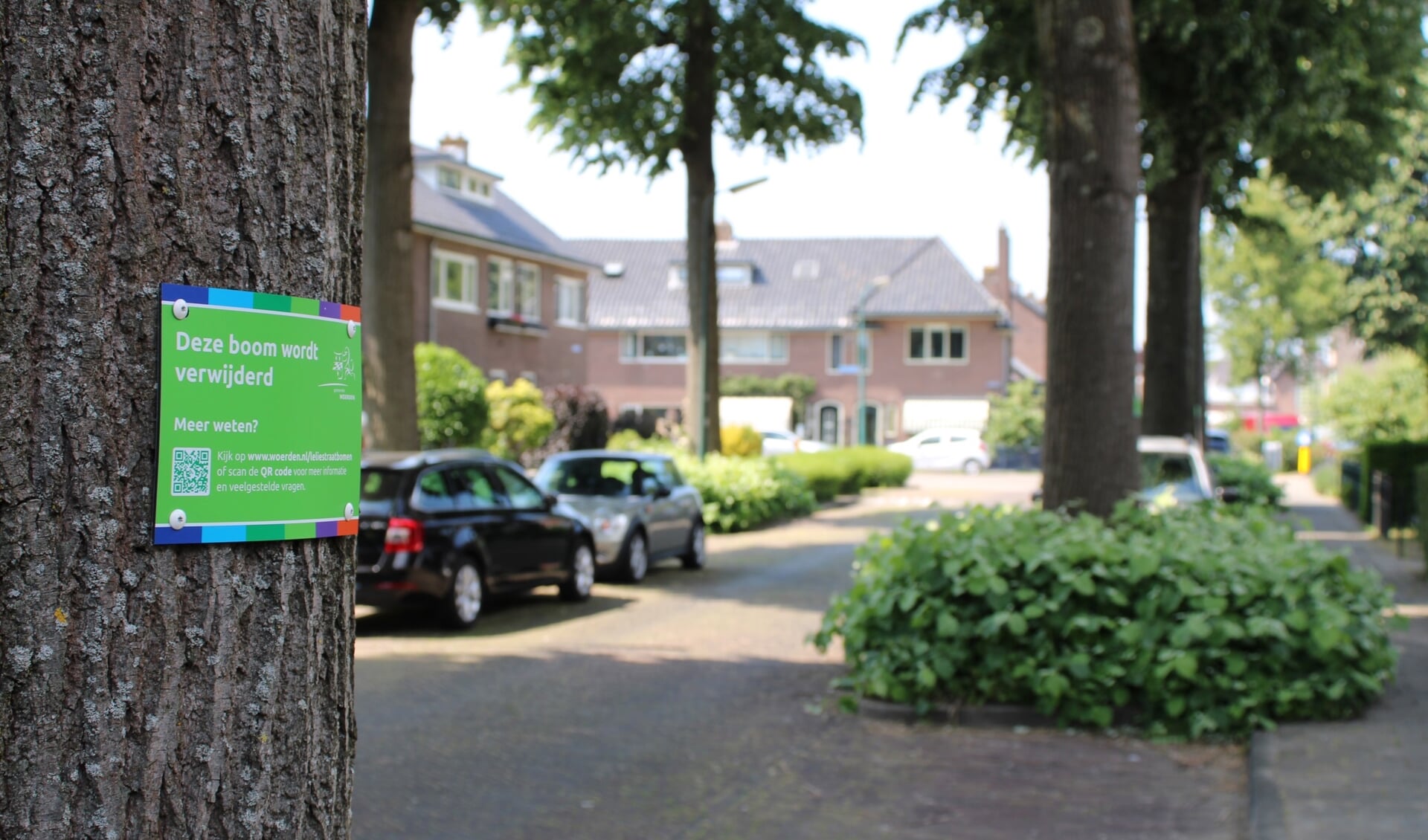 • Op elke boom in de Leliestraat is vrijdag een bordje geplaatst met een QR-code. Wie de code cant leest waarom de bomen worden verwijderd.   