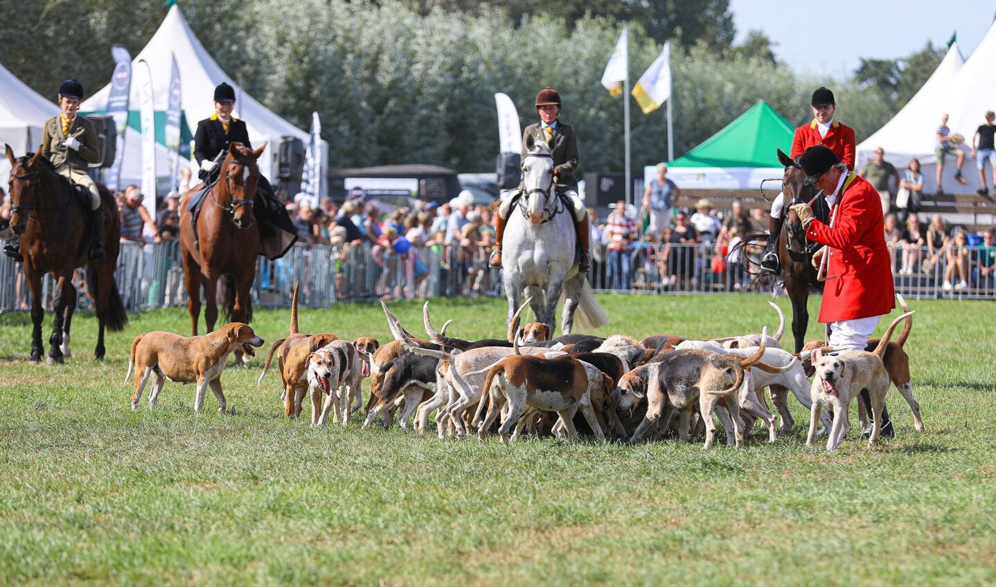 • De 109e editie van Fokveedag Boerenlandfeest in Hoornaar