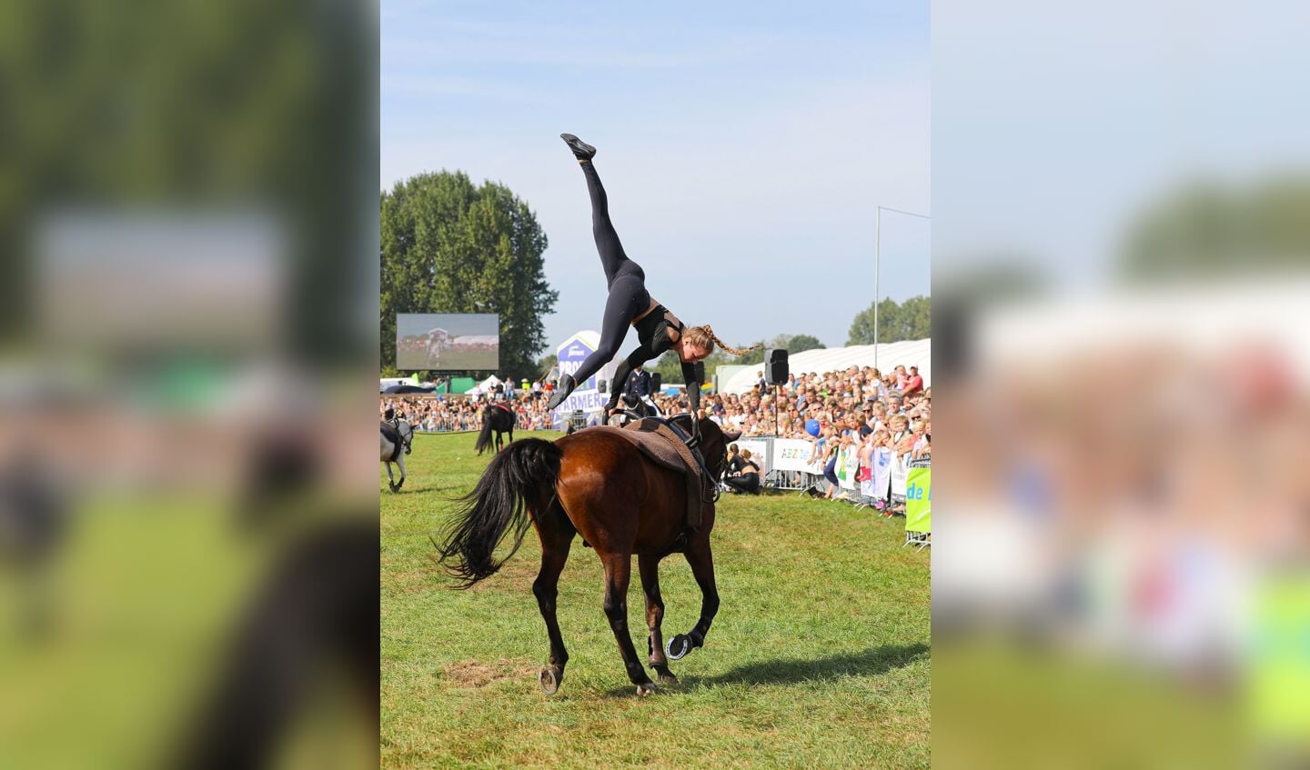 • De 109e editie van Fokveedag Boerenlandfeest in Hoornaar