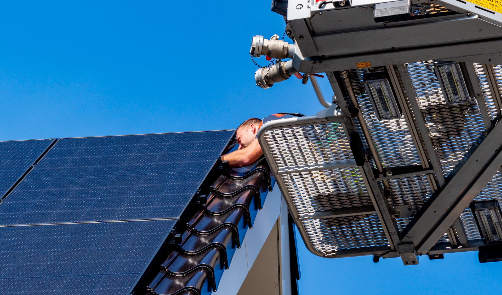 • De duif zat vast tussen de zonnepanelen.