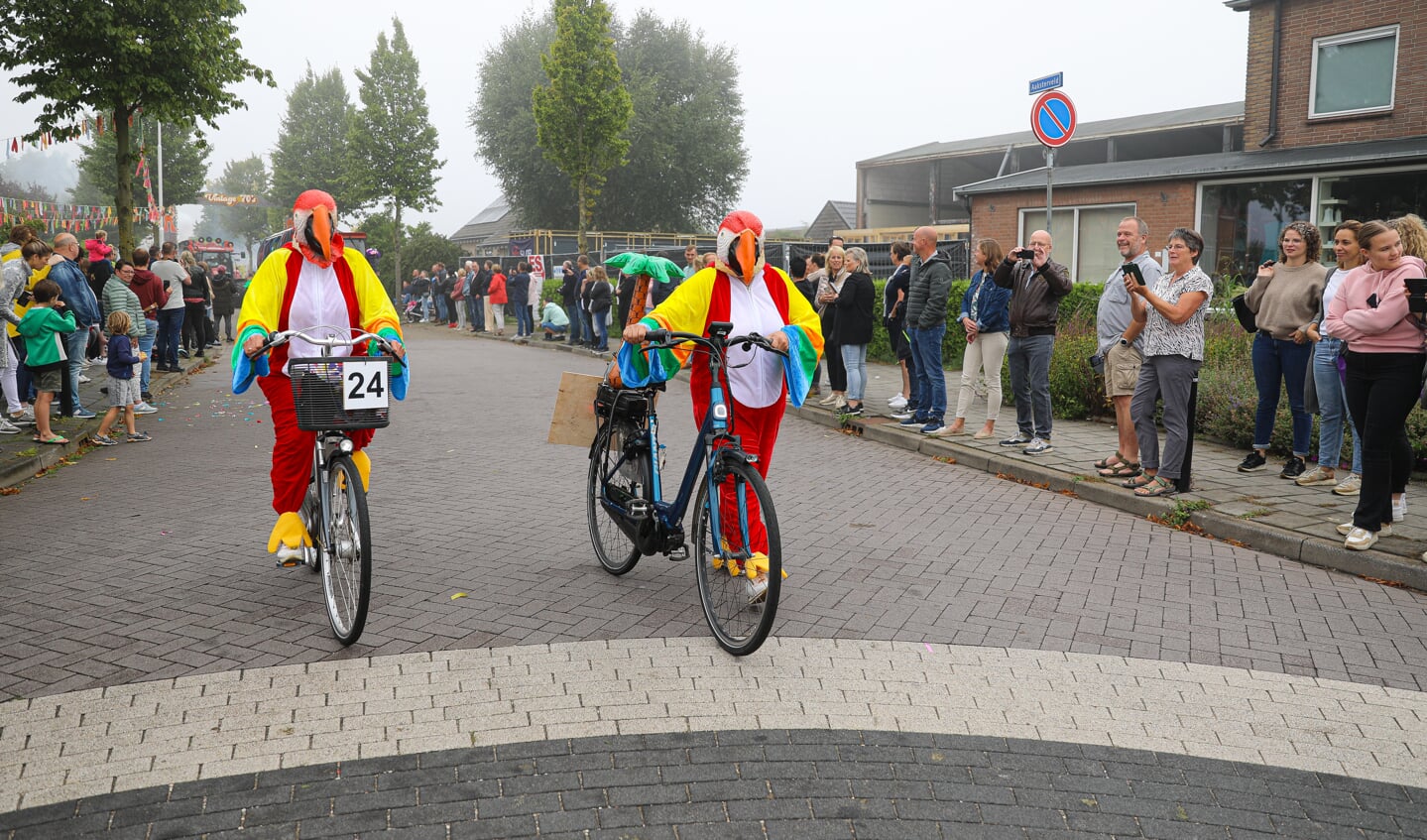 • Allegorische optocht Ameide Lichtstad 2023.