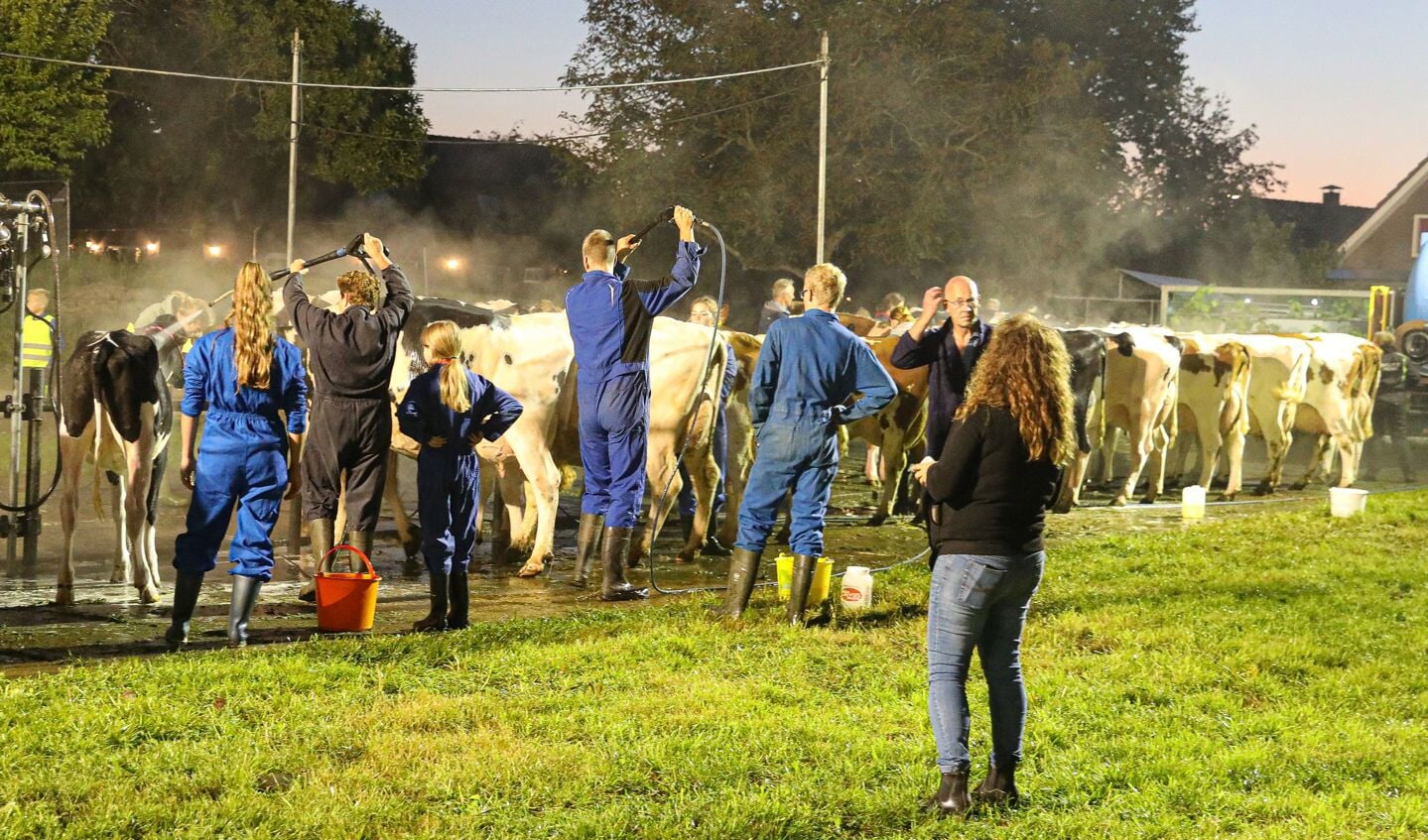 • De 109e editie van Fokveedag Boerenlandfeest in Hoornaar.