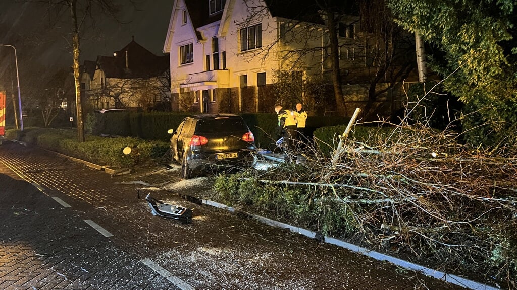 Een automobilist heeft in de nacht van woensdag op donderdag een boom en lantaarnpaal uit de grond gereden.  