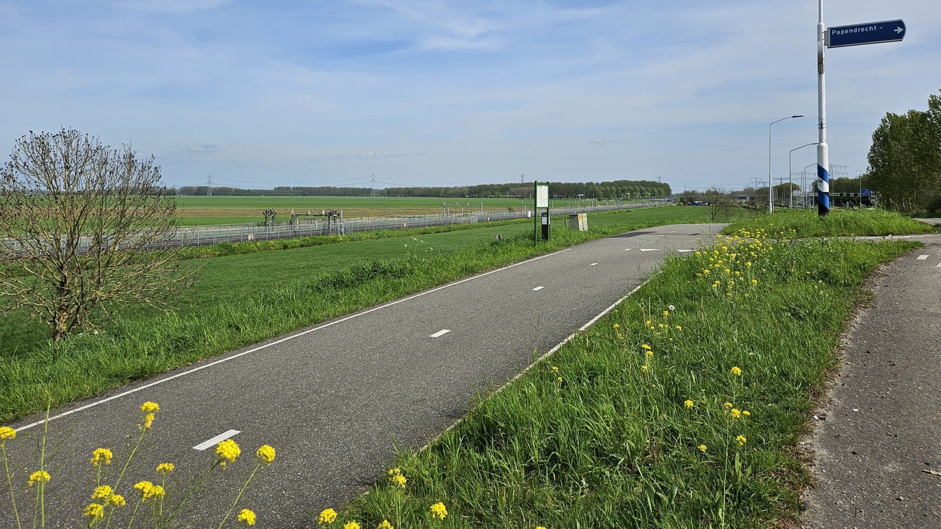 • Het gebied nabij de Witte Brug en de Veerweg, waar de windturbines mogelijk komen.