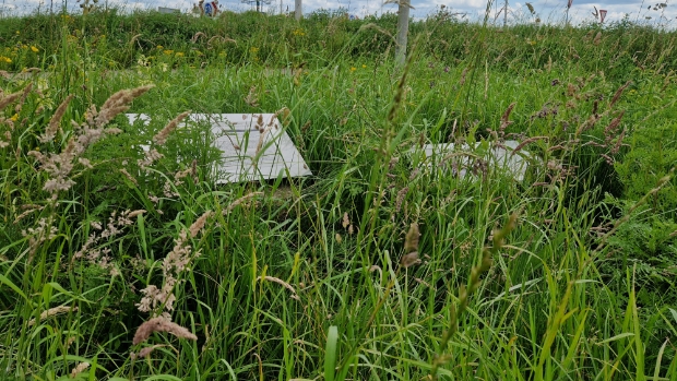 Gras overwoekert informatieborden bij rotondemonument N210