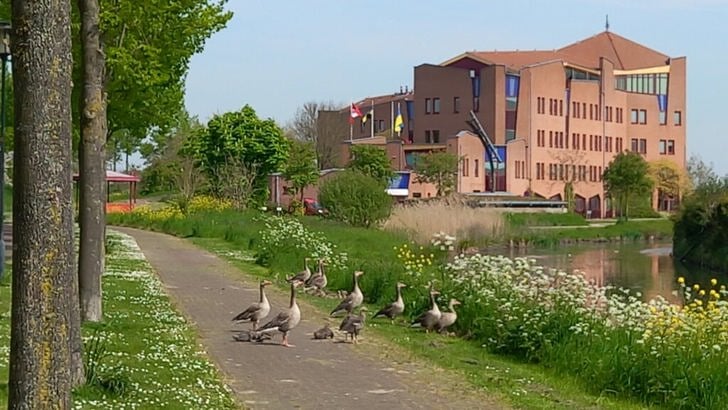 Het huidige gemeentehuis van Buren in Maurik.