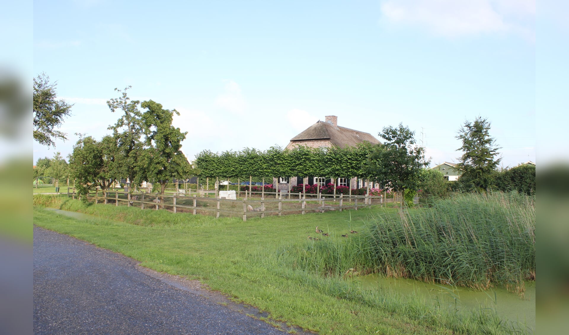 • Het huis en de geitenboerderij van Van der Schans.