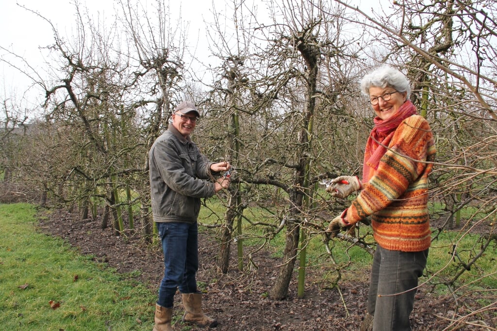 • Vrijwilligers aan het werk in de boomgaard. Rechts: Wilma Abspoel.