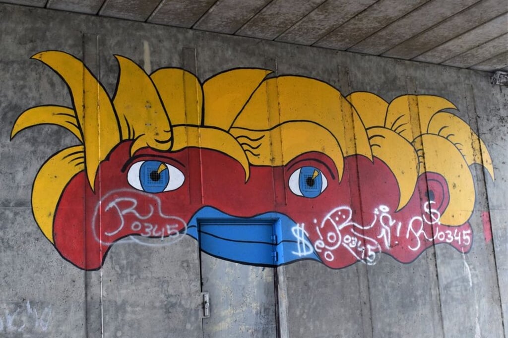 • De graffiti werd precies over het kunstwerk gespoten.