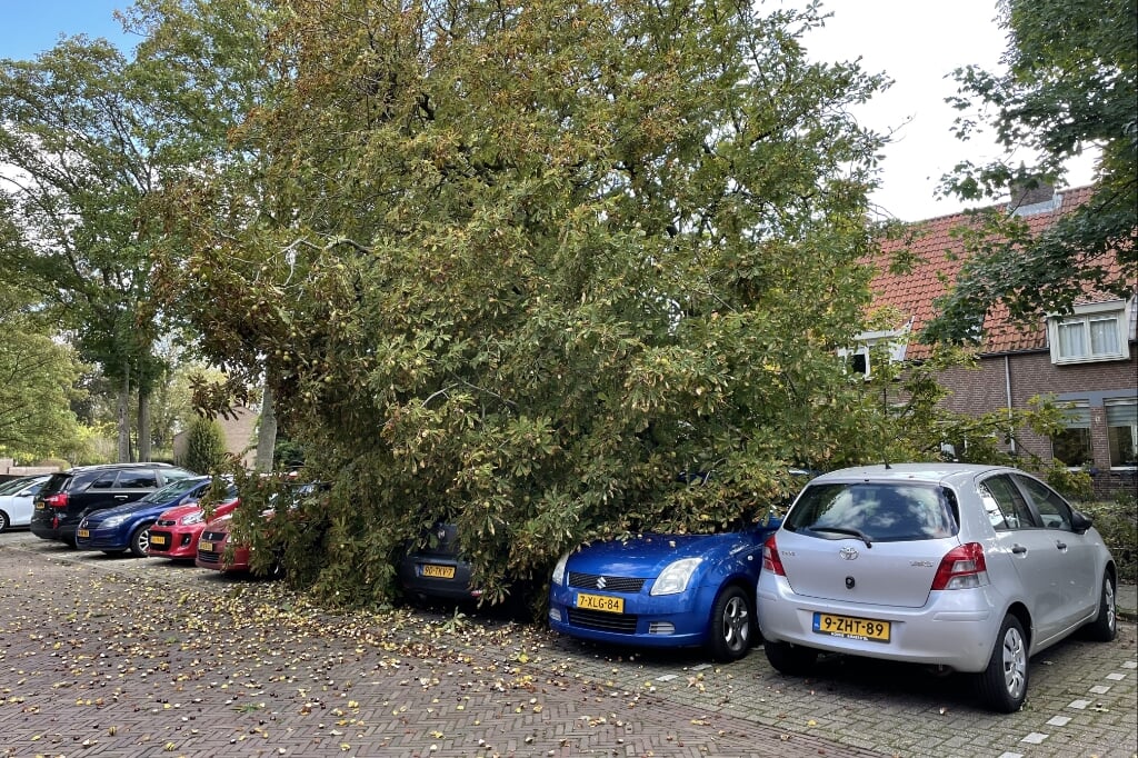 • De boom viel op de auto's.