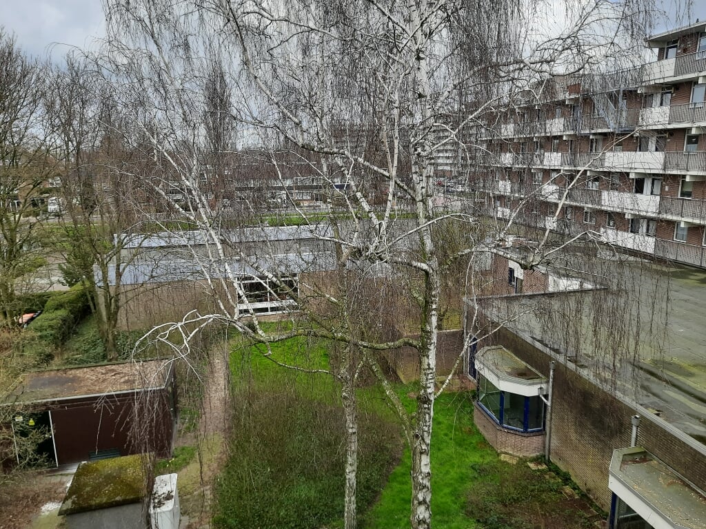 • De binnentuin achter de Schoolstraat 2 tot en met 102 in Papendrecht.