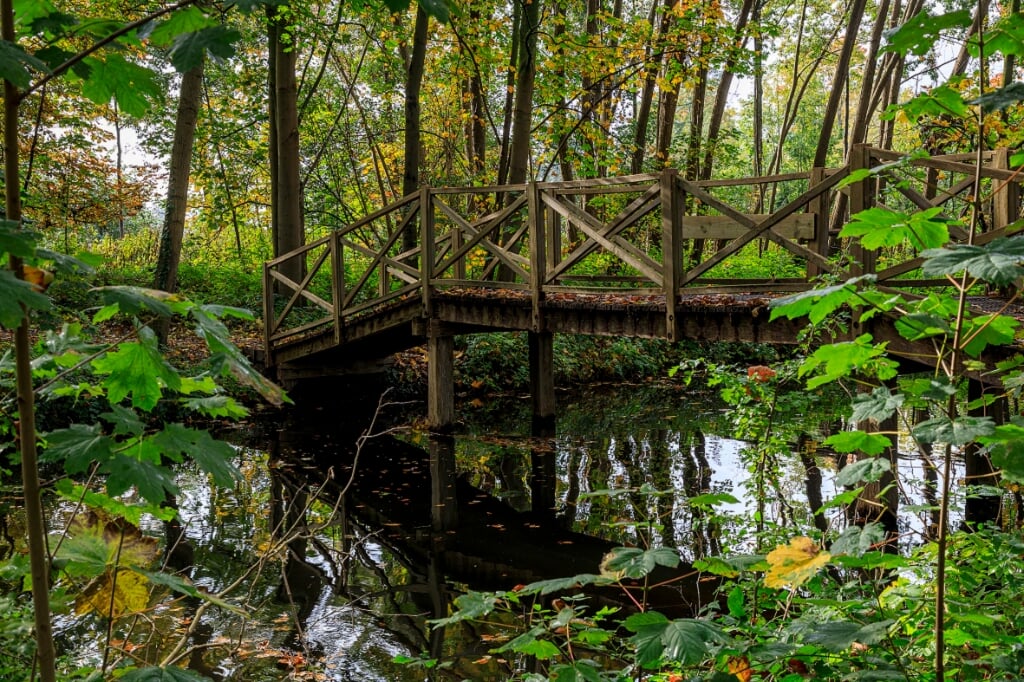 • Eén van de houten bruggen in het Vijverbos in Harmelen.