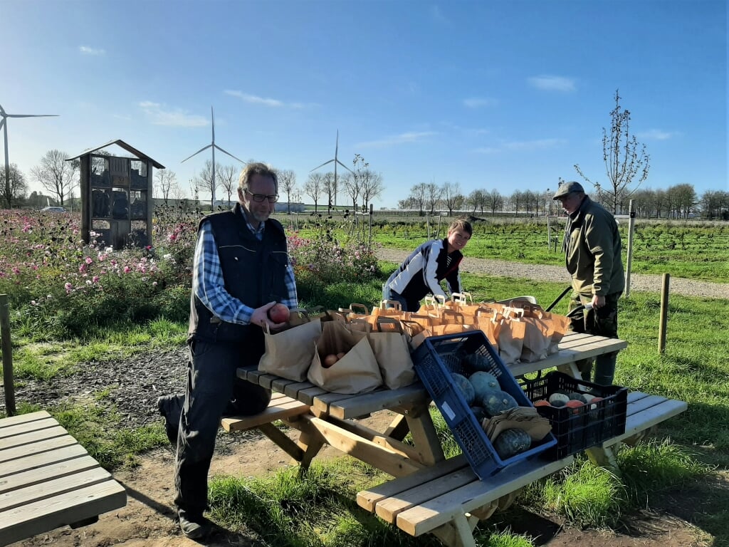 Erwin Mekelenkamp (boombeheerder, links), Gerdien Dijkstra (projectleider) en Roelant Schut (vrijwilliger) maken pakketten met de laatste oogst van voedselbos Lingehout.