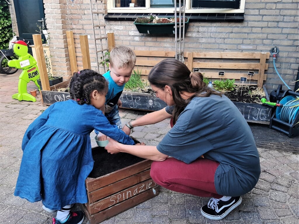 • Cindy van Ooijen van gastouderopvang 'Ons Buren' leert de kinderen hoe je plantjes zaait en verzorgt.