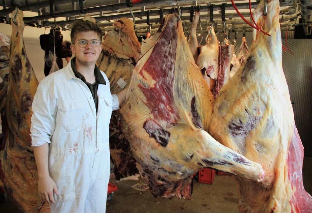 • Jilles Kragten, leerling aan de slagersvakschool, naast één van zijn geslachte koeien.