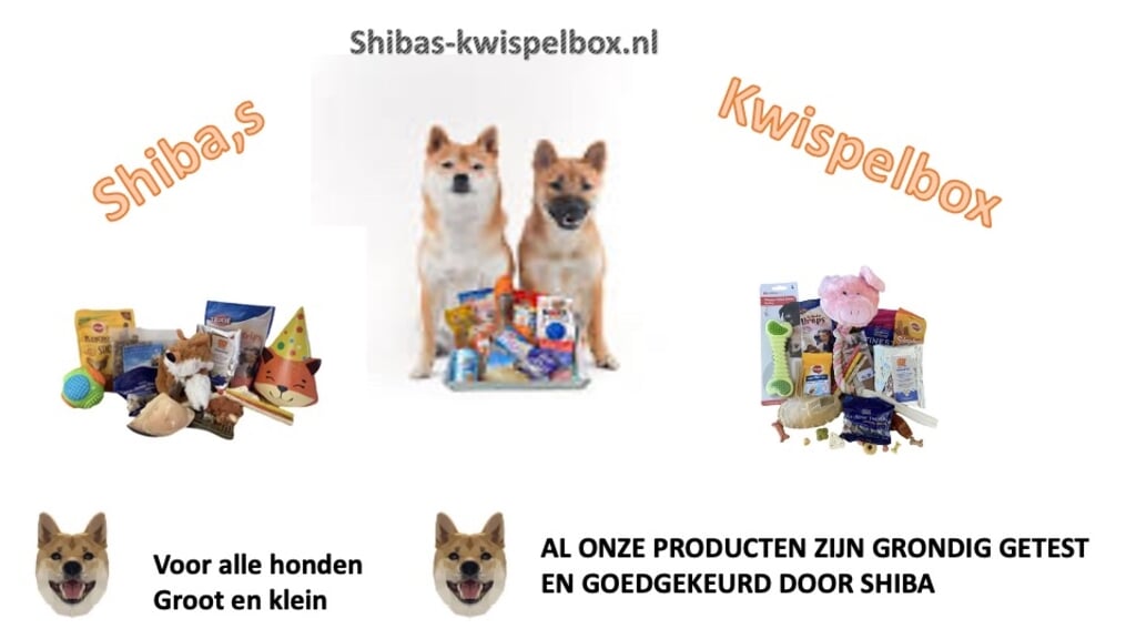 Boxen voor grote en kleine honden