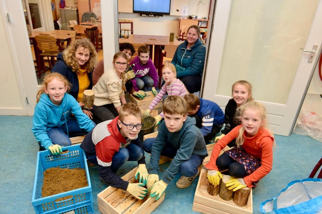 • Kinderen van De Rietschoof bouwen insectenhotels.
