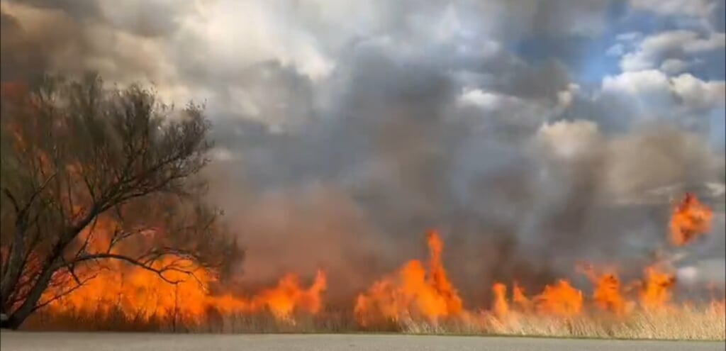 • Er brandde zo'n 4 hectare af. 