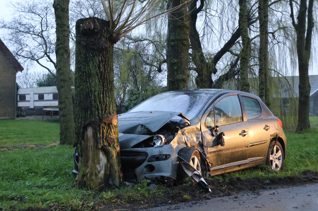 • Eén auto kwam tot stilstand tegen een boom.