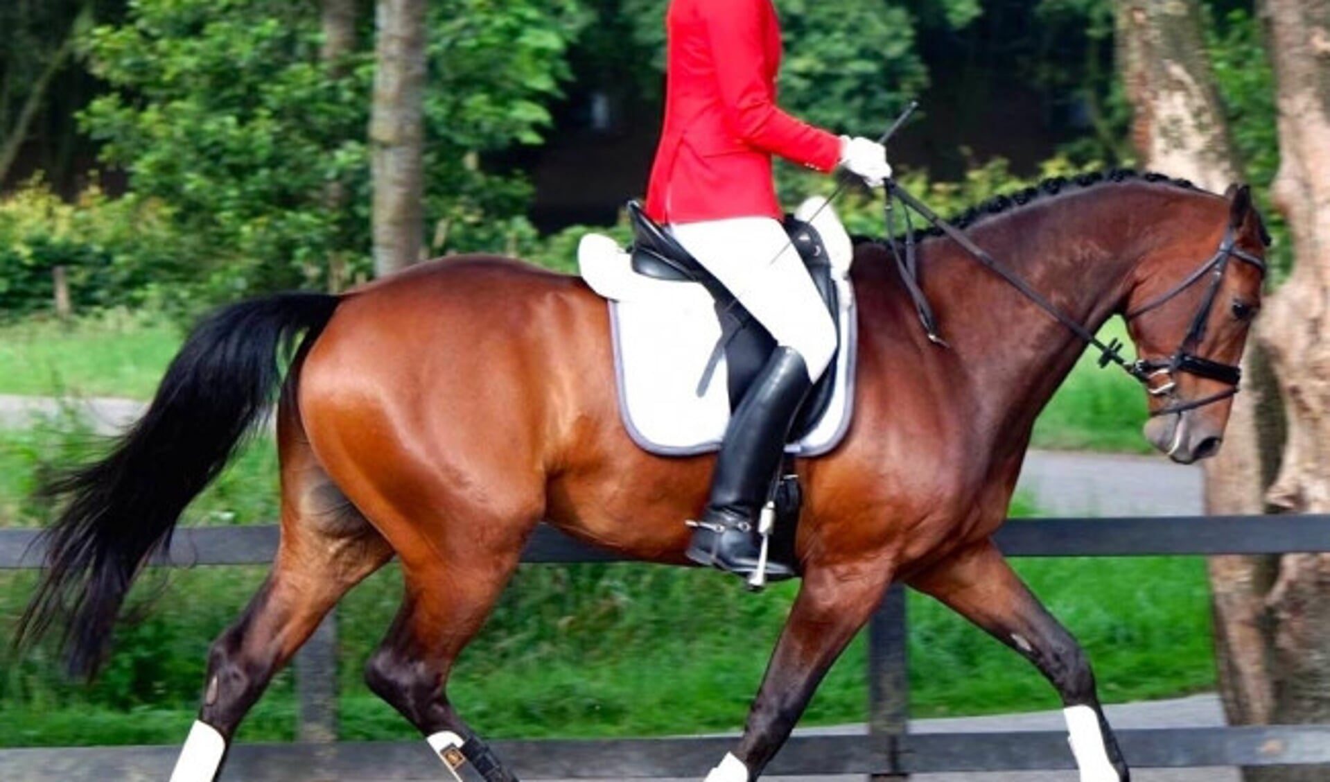  Alieke Leenders met haar paard Flevo ALL.