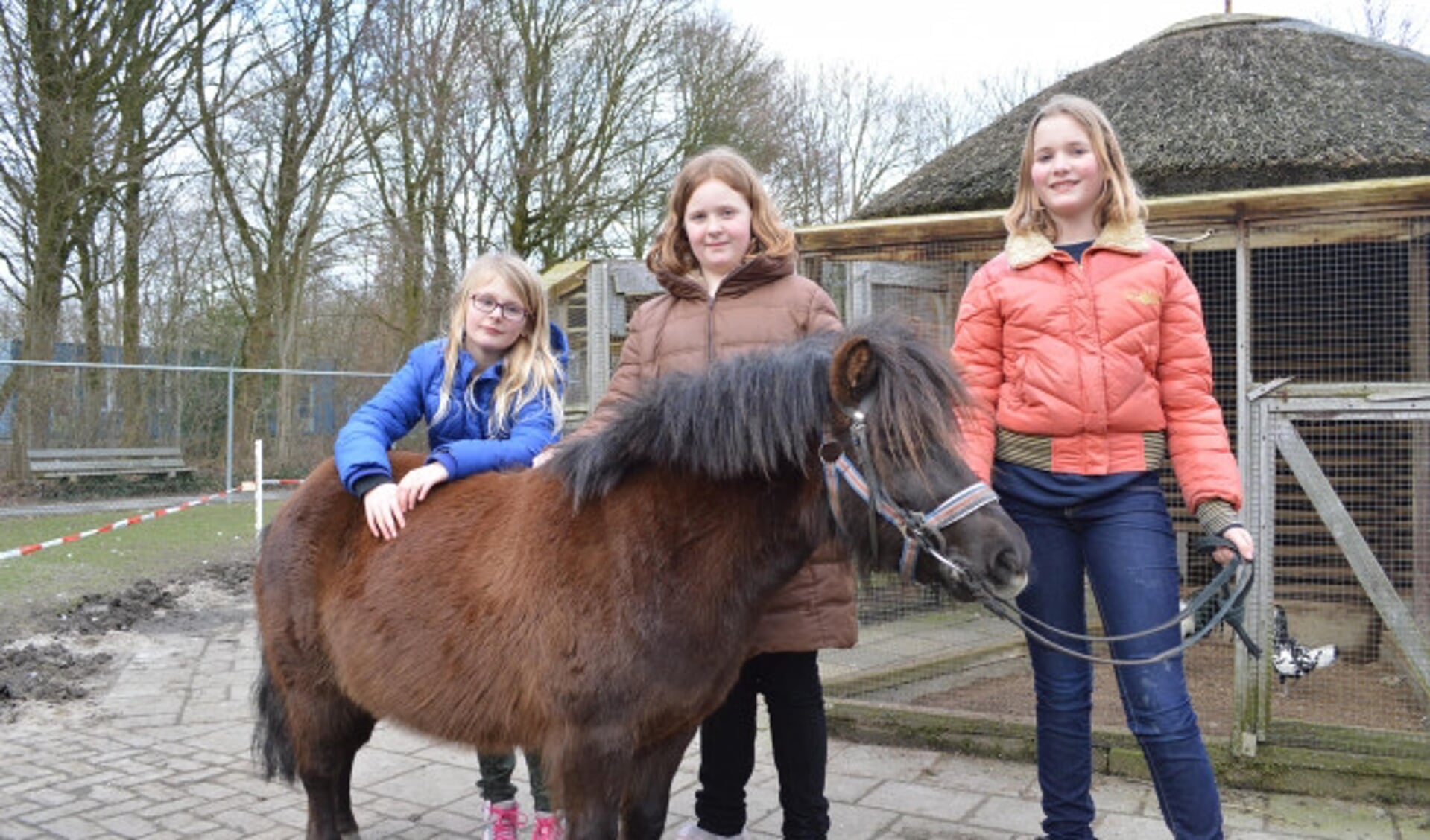  De Bambihof in Swifterbant