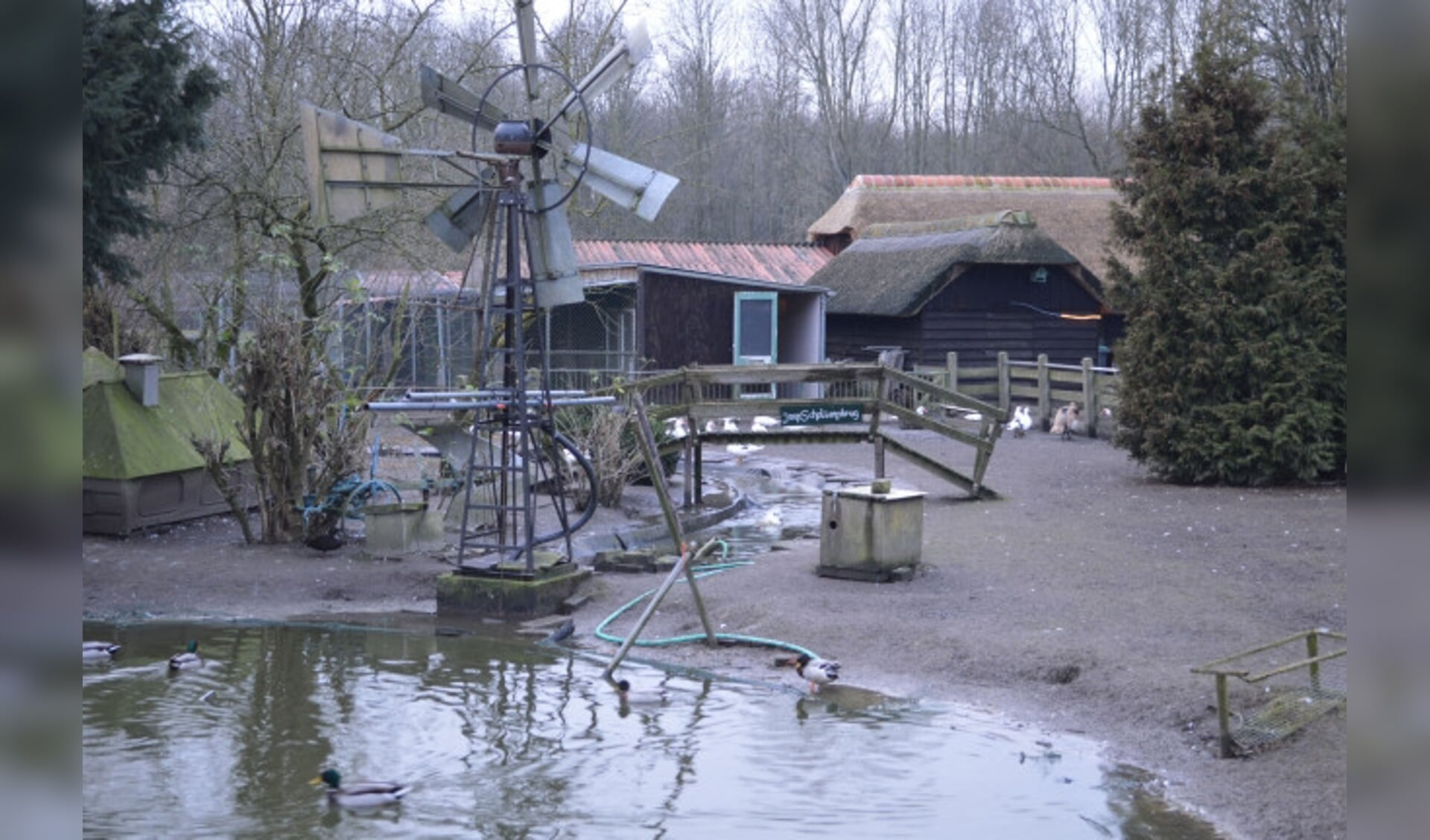  De Bambihof in Swifterbant houdt de hekken gesloten.