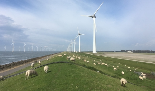 Het windpark bij Urk