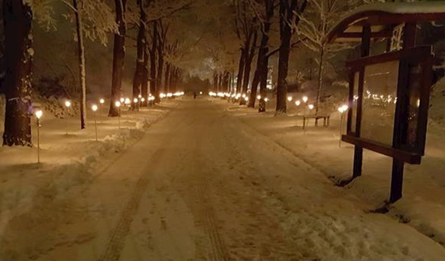 Sneeuw maakt van Wereldlichtjesdag in Dronten een heel bijzondere ontmoeting