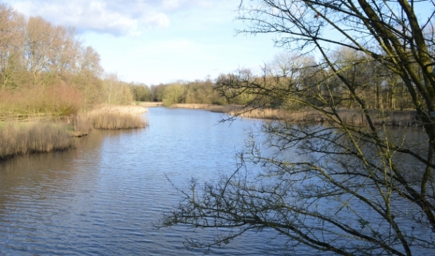 Wisentbos