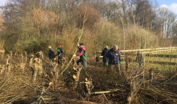 <p>NLdoet in het Torenbosje.</p>