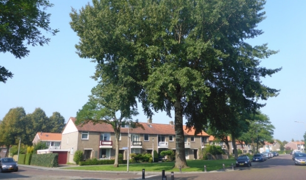 De Grauwe Abeel op de hoek van de Ankerstraat en de Bakboord.
