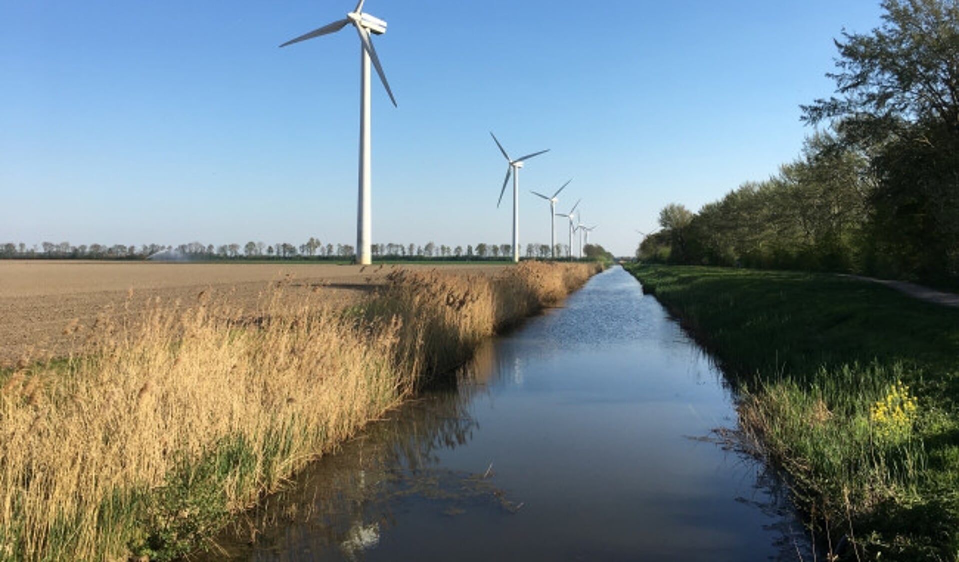 Windmolens bij Swifterbant.