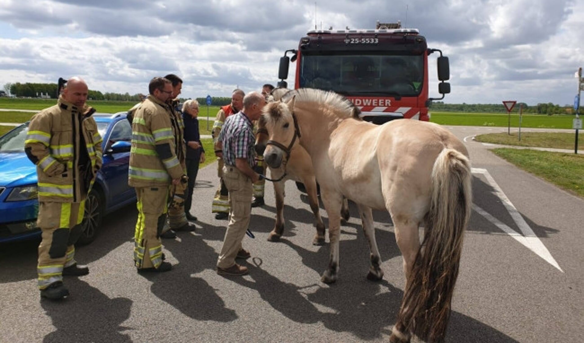 onwettig vrouwelijk Samenstelling Brandweer Biddinghuizen helpt in trailer gevallen paard weer in de benen -  De Drontenaar | Nieuws uit de regio Dronten