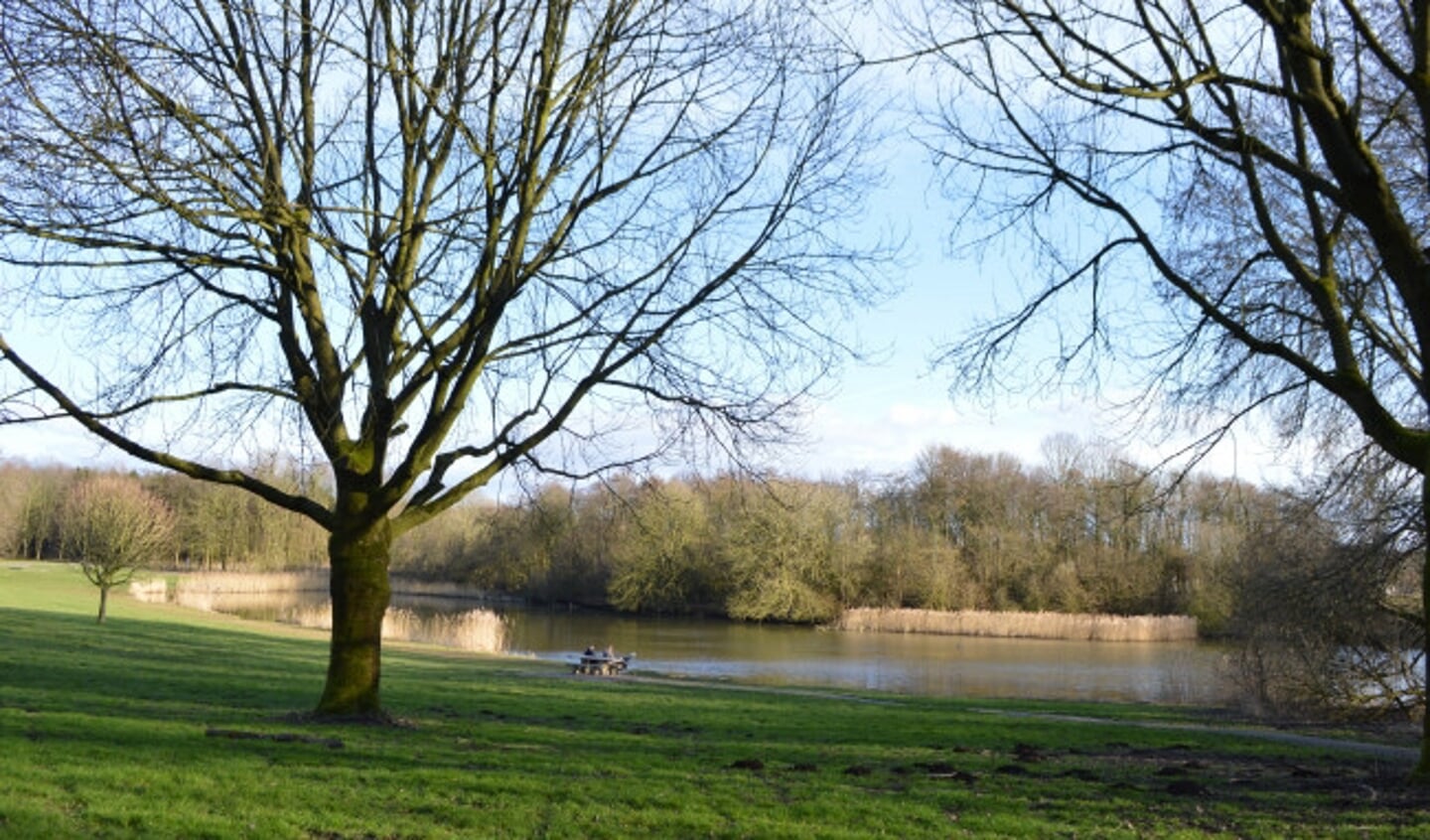 Vrijwilligers gaan in het kader van NLdoet aan het werk in het Wisentbos.