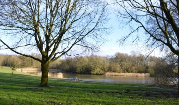 <p>Wisentbos</p>
