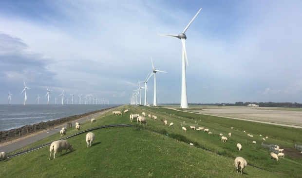 <p>Windplan Blauw bouwt straks deels op het land en deels in het water.</p>
