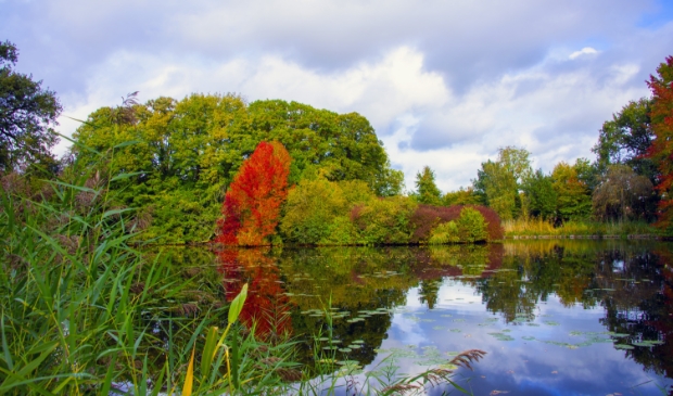 <p>Het engelse werk in herfstkleuren</p>