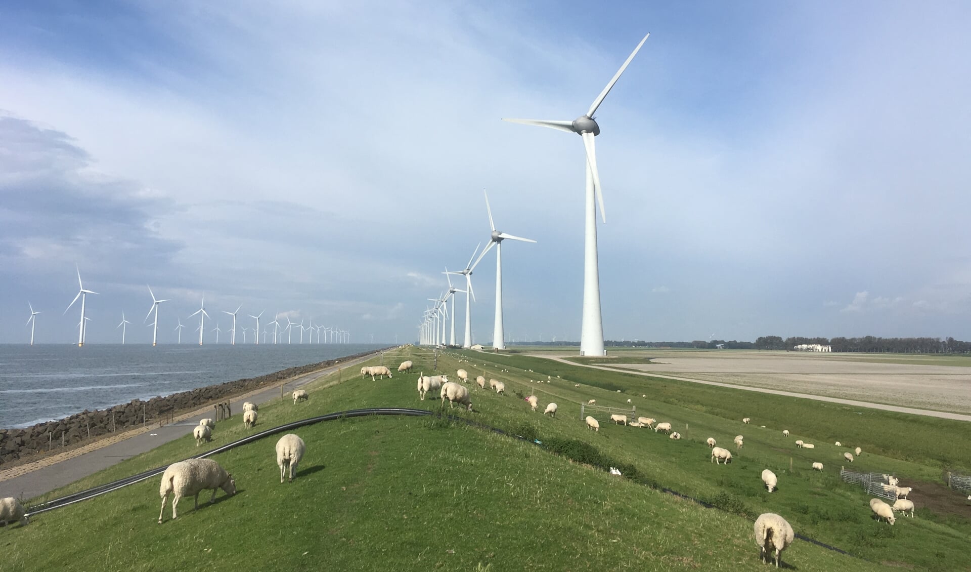 Het windpark bij Urk is kinderspel in vergelijking met Windplan Blauw.